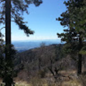 Meet your Posher, Bobby